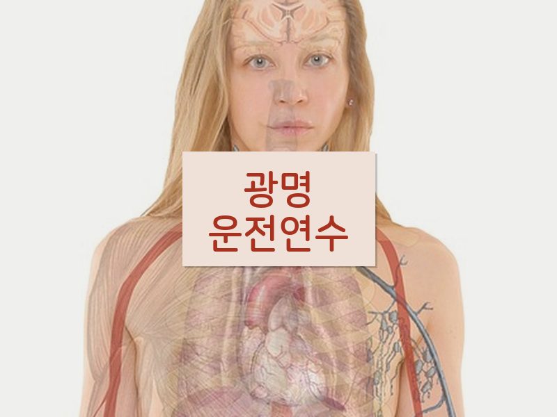 광명운전연수 후기