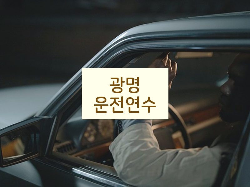 광명운전연수 후기