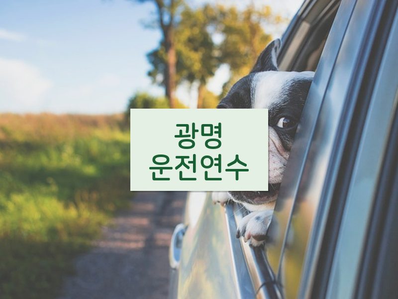 광명운전연수 후기