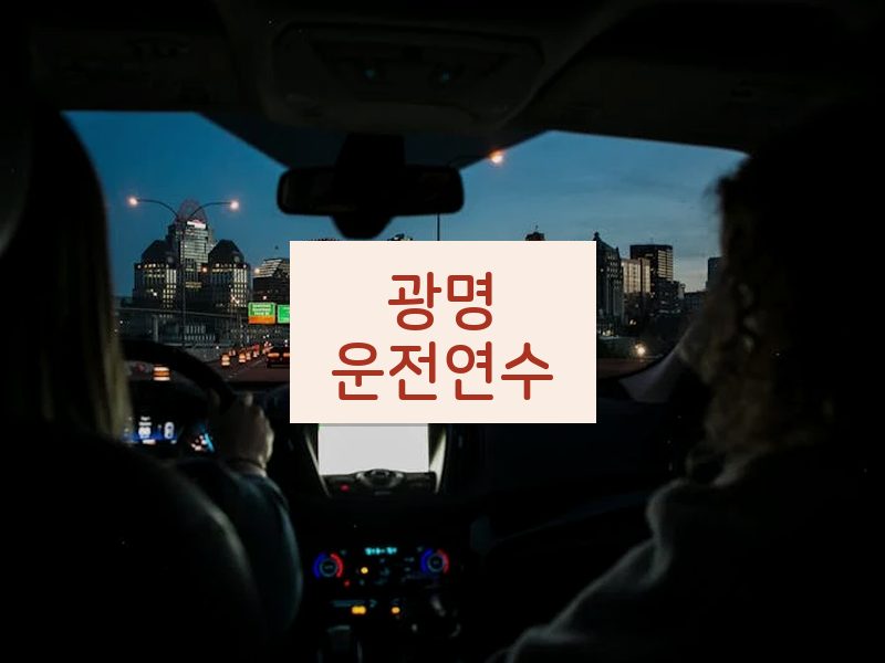 광명운전연수 후기