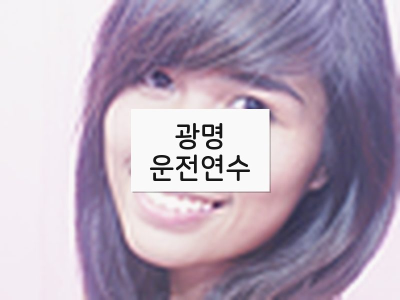 광명운전연수 후기