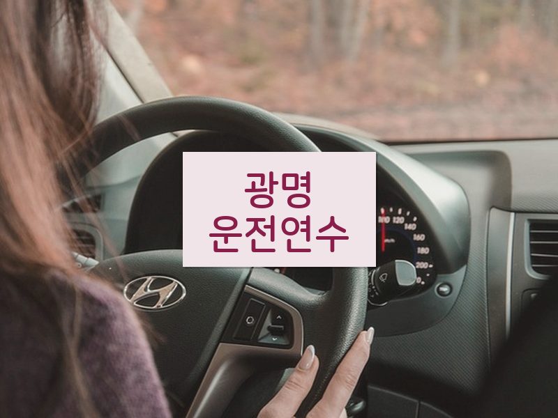 광명운전연수 후기