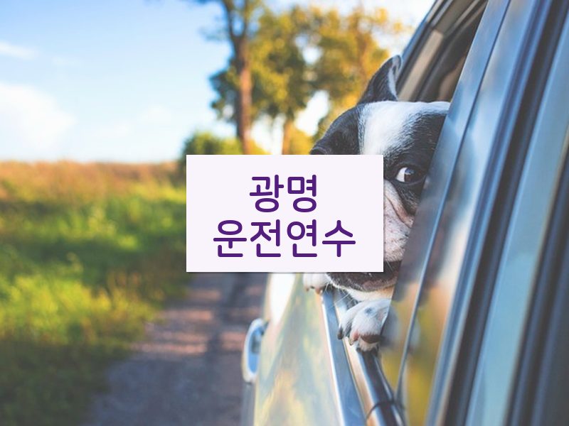 광명운전연수 후기