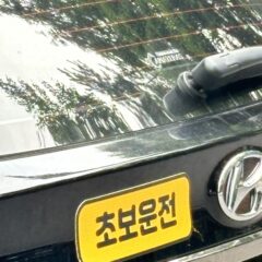 장롱면허 5년 만에 탈출한 광명 운전연수 후기
