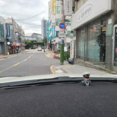 장롱면허 10년 만에 탈출한 도로운전연수 후기 후기 이미지