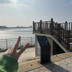 [광명] 운전연수 평행주차 3일 만에 성공 후기 후기 이미지