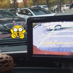 안양운전연수 완료! 이제 운전 가능해요