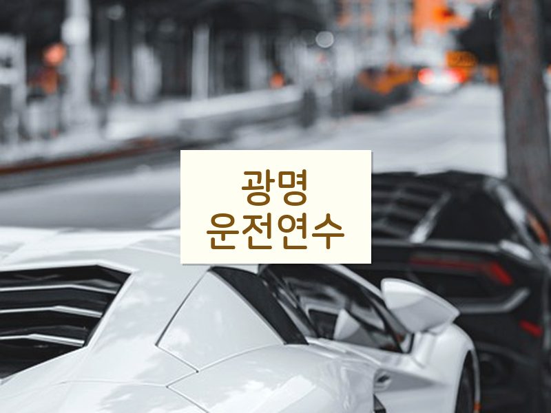 광명운전연수 후기