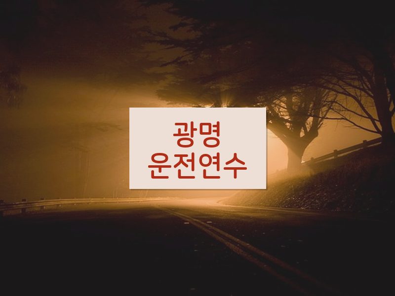 광명운전연수 후기