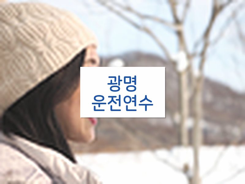 광명운전연수 후기