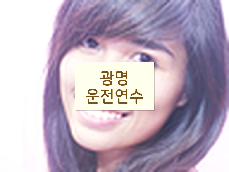 광명운전연수 후기